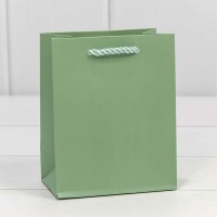 Пакет подарочный "Фактура" Бледно-зелёный 12*15*7 210г 1/20 1/480 Арт: 300480H/8