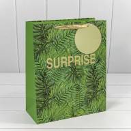 Пакет подарочный "Листья" (микс) 26*32*12 210г 1/20 1/120 Арт: 000131C - Пакет подарочный "Листья" (микс) 26*32*12 210г 1/20 1/120 Арт: 000131C