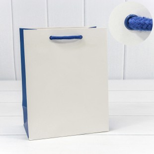Пакет подарочный Белый/Синий 18*23*10 230г 1/20 1/160 Арт: 228E