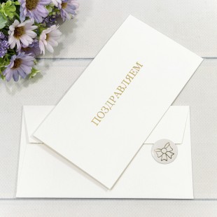 Конверт подарочный 16,9*9,4см 1209 1/10 1/250 Арт: 003012/9
