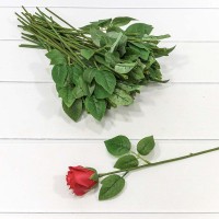 Стебель для розы с листьями 34см 1/50 1/3000 Арт: 420050/1