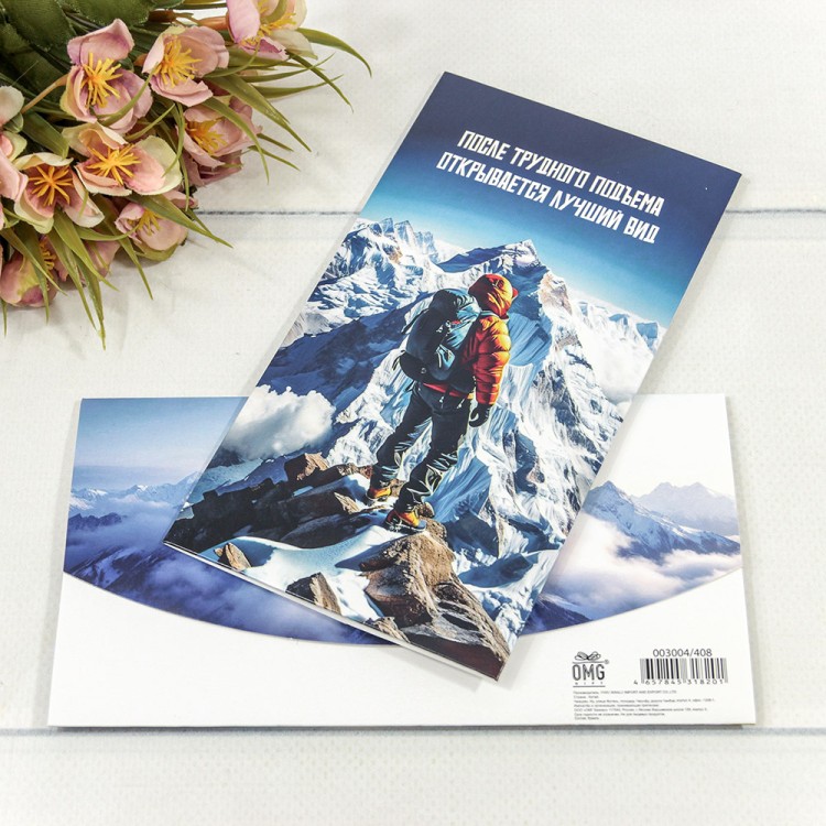 Конверт подарочный 16,5*9см 408 1/10 1/250 Арт: 003004/408