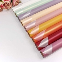 Плёнка 001353 0,58*10 м